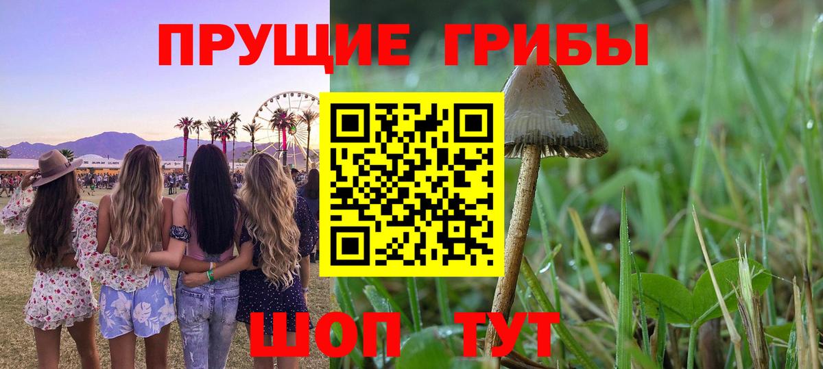 Псилоцибиновые грибы ЛСД  Вход с VPN  Углич 