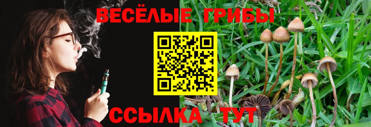 Галлюциногенные грибы ЛСД Углич